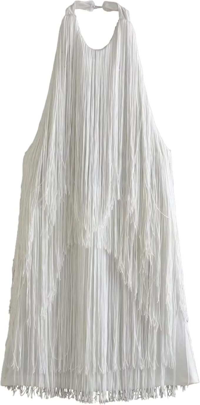 ECDAHICC Women’s Dresses Flapper Dresses 20s Gatsby with All-Over Fringe Mini Dresses